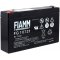 FIAMM Batterie au plomb FG10721